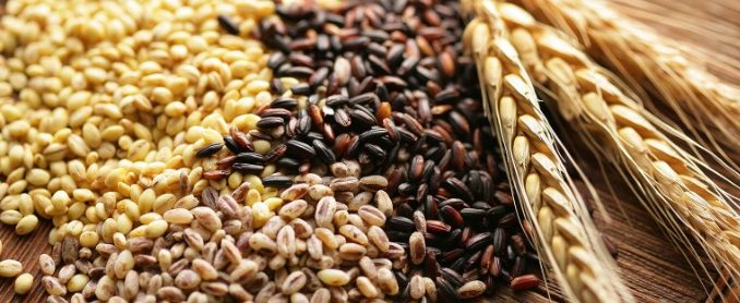Les céréales et féculents