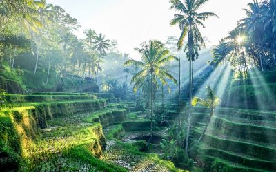 Une pause à Bali