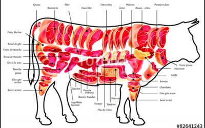 La viande de boeuf