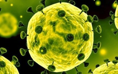 Le système lymphatique
